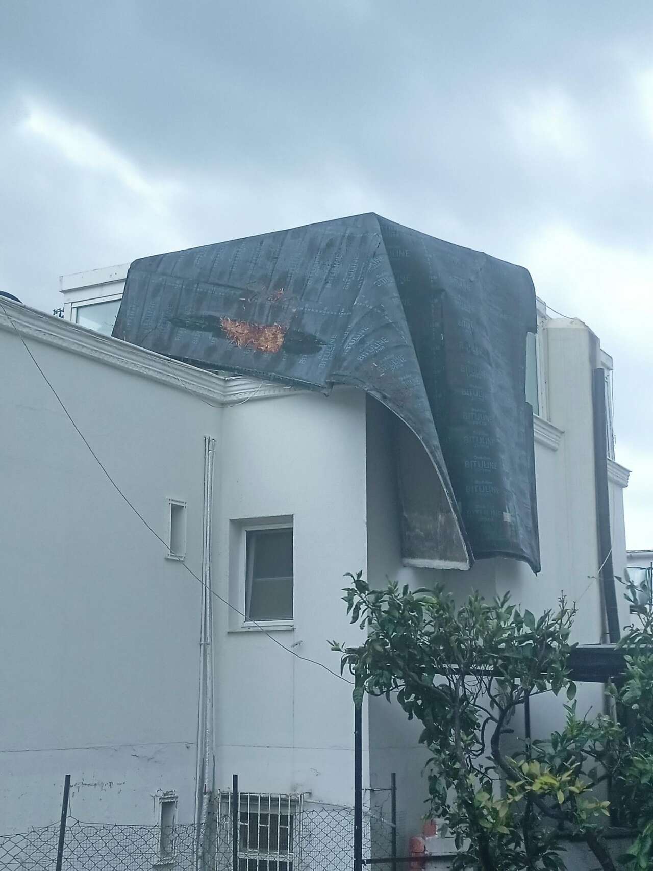 Turizm Cenneti Bodrum’u Fırtına Vurdu: Elektrikler Kesildi, Ağaçlar Devrildi, Tekne Battı 4